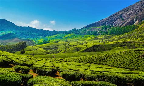 'kerala.