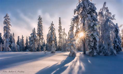 Vinter.