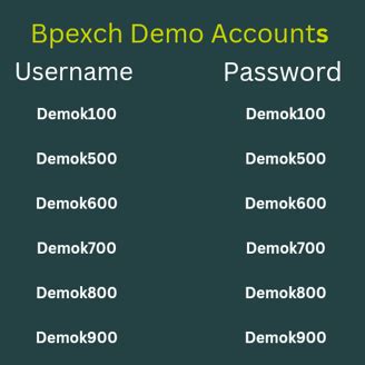 bpexch.com/common/dashboard